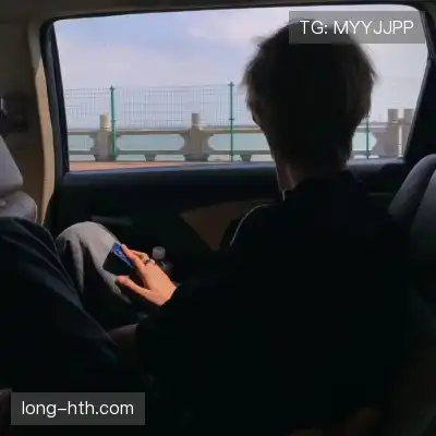 赵苏静